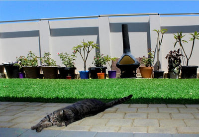Unlock the Secrets to a Cat-Proof Yard: Keep Your Feline Safe with Oscillot's Innovative Solutions