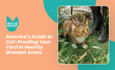 America's Guide to Cat-Proofing Your Yard in Heavily Wooded Areas