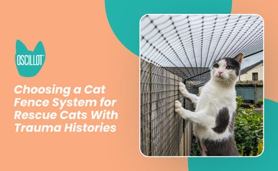 Choosing a Cat Fence System for Rescue Cats With Trauma Histories