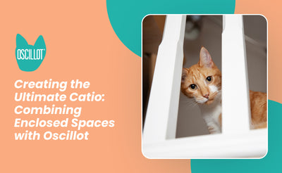 Creating the Ultimate Catio: Combining Enclosed Spaces with Oscillot