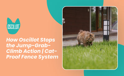 How Oscillot Stops the Jump-Grab-Climb Action | Cat-Proof Fence System