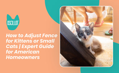 How to Adjust Fence for Kittens or Small Cats | Expert Guide for American Homeowners