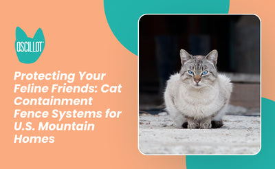 Protecting Your Feline Friends: Cat Containment Fence Systems for U.S. Mountain Homes